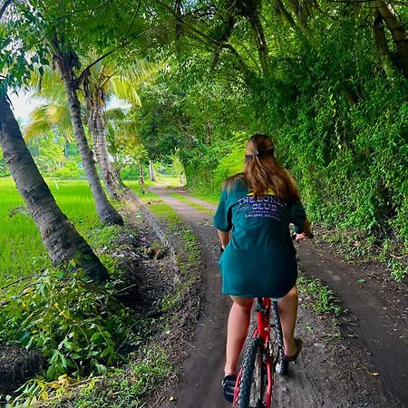 Rinjani Beach Eco Resort Tanjung  Eksteriør bilde