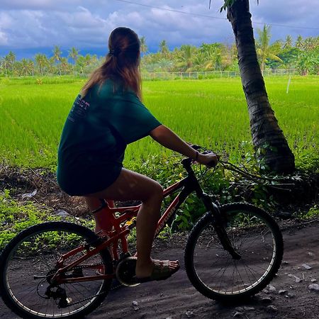 Rinjani Beach Eco Resort Tanjung  Eksteriør bilde