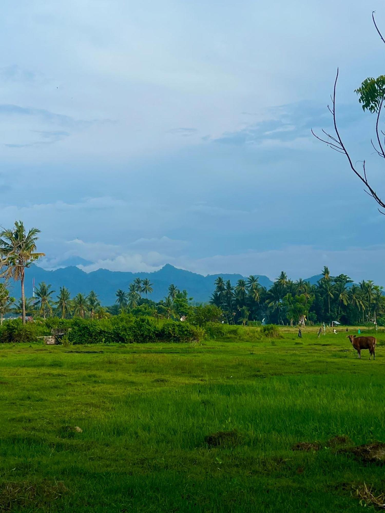Rinjani Beach Eco Resort Tanjung  Eksteriør bilde