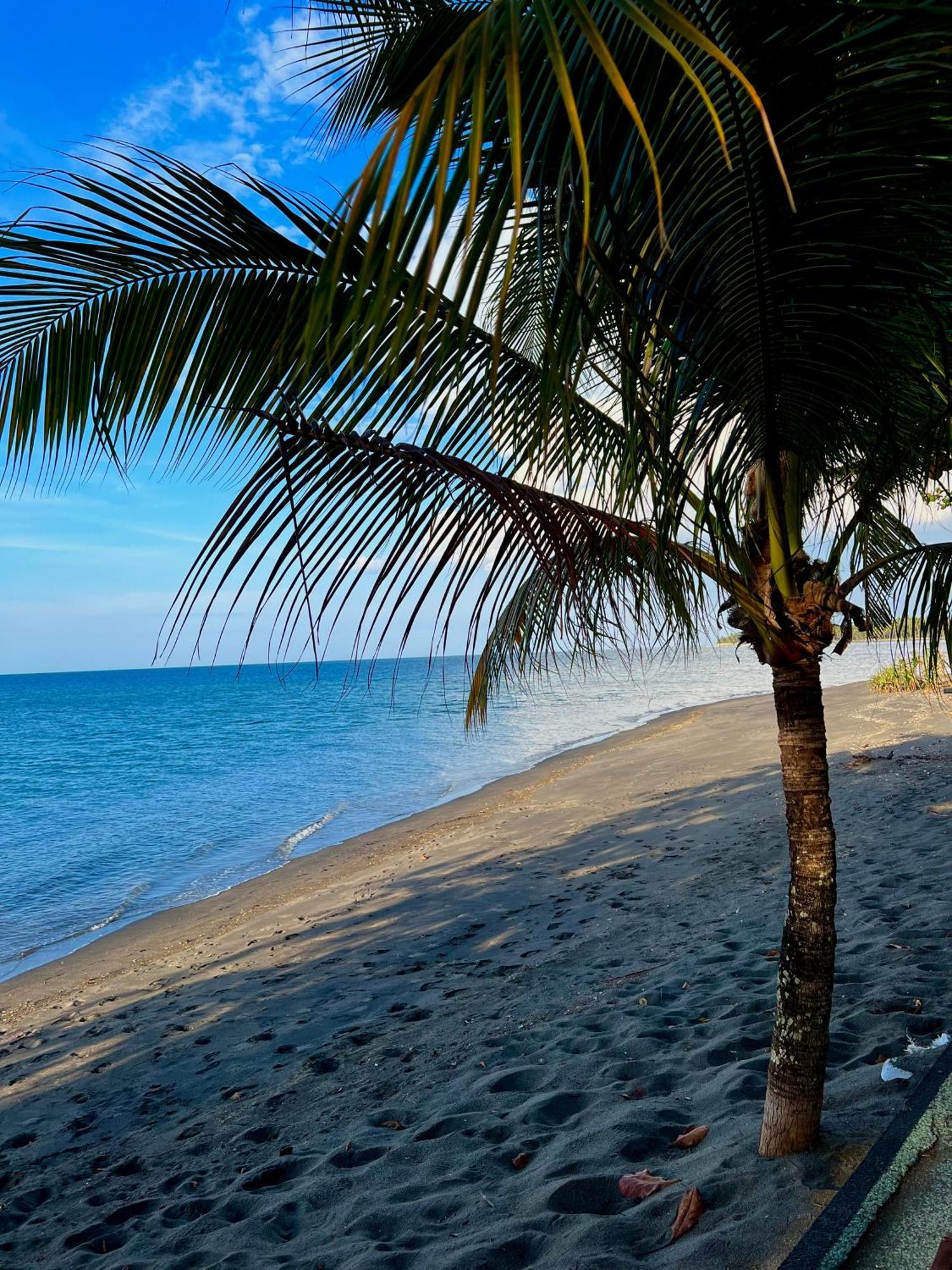 Rinjani Beach Eco Resort Tanjung  Eksteriør bilde
